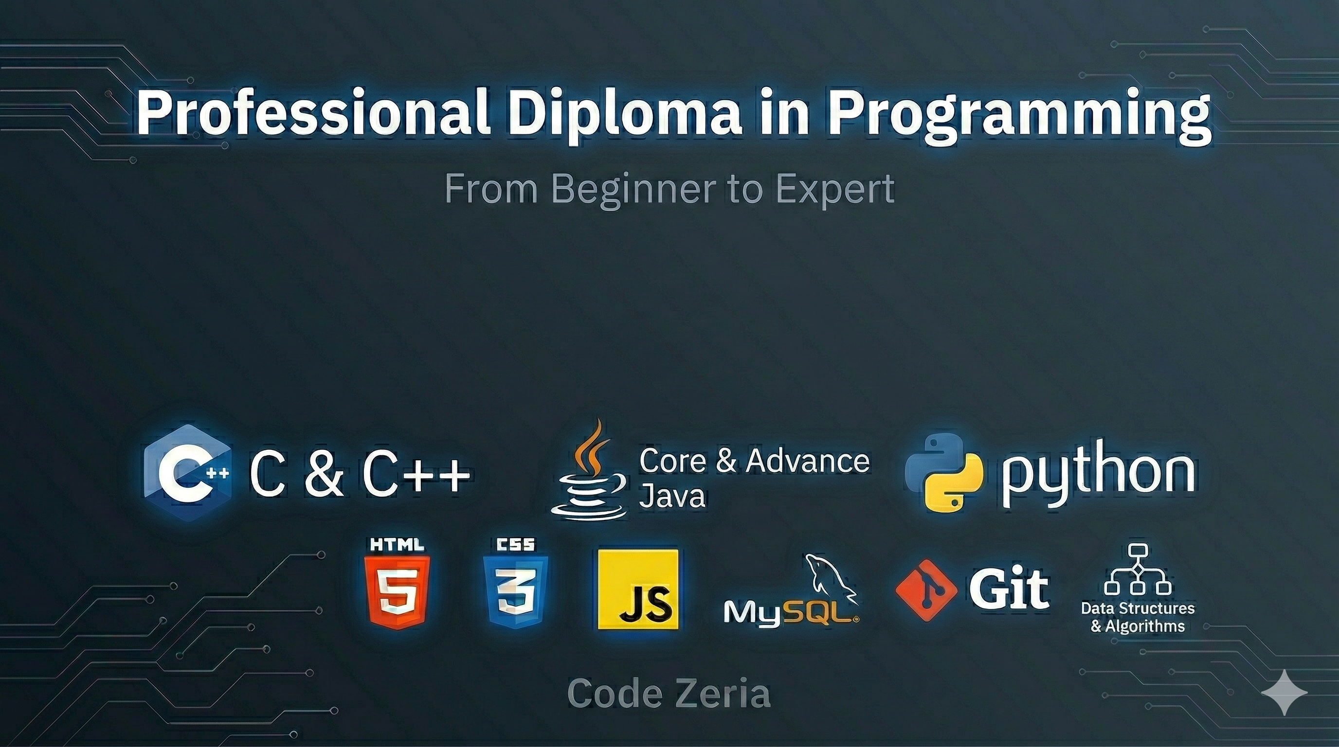 Professional Diploma in Programming (Zero to Hero)